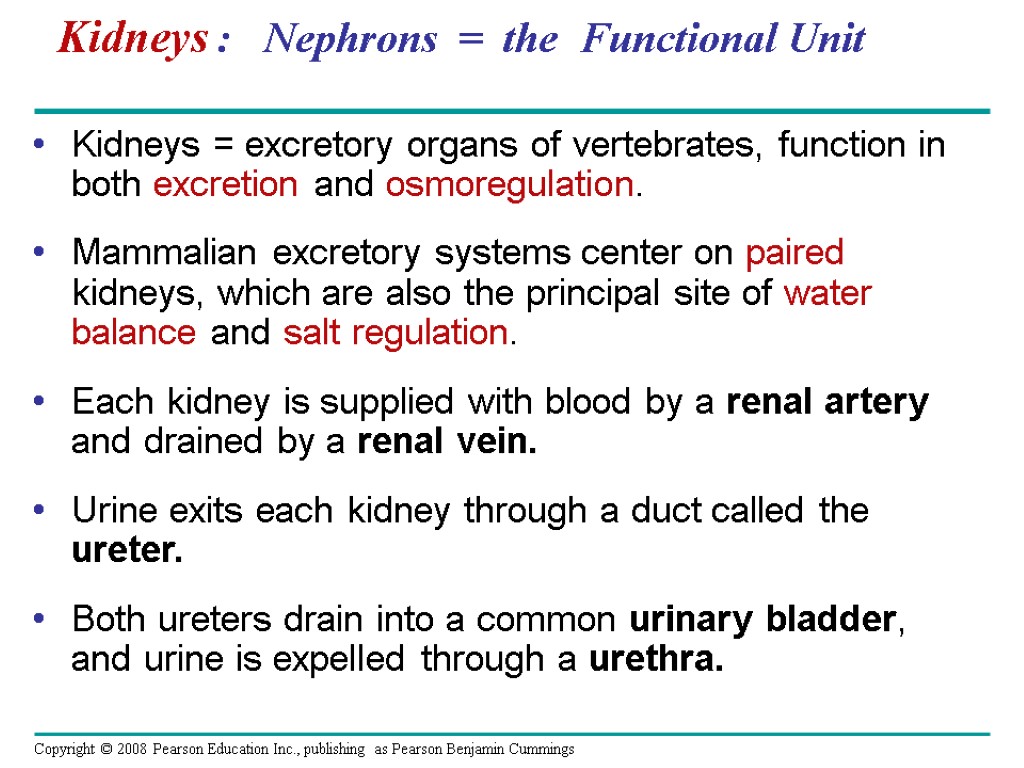 Kidneys : Nephrons = the Functional Unit Kidneys = excretory organs of vertebrates, function
